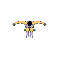 dumbbell_exercises_reverse_fly-gif-pagespeed-ce-vmpza7eb7a