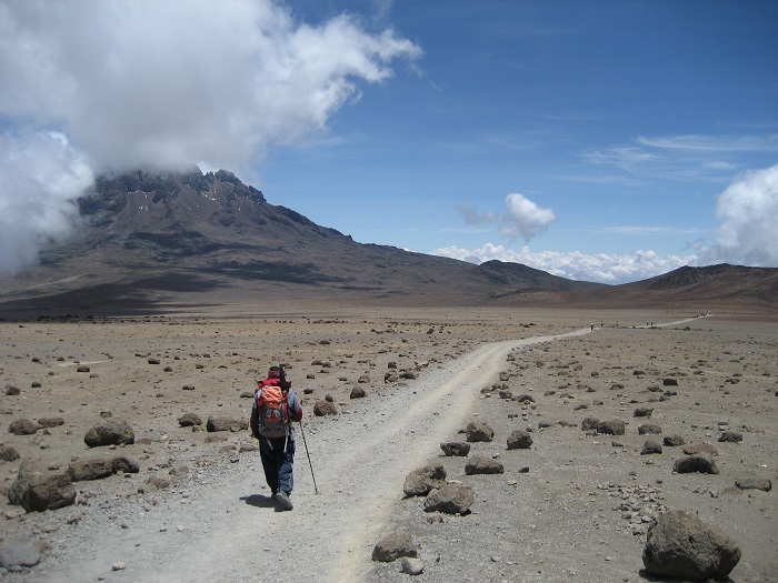 Kombiner sundhed og fitness med en rejse til Kilimanjaro